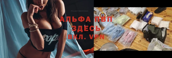 гашик Абинск
