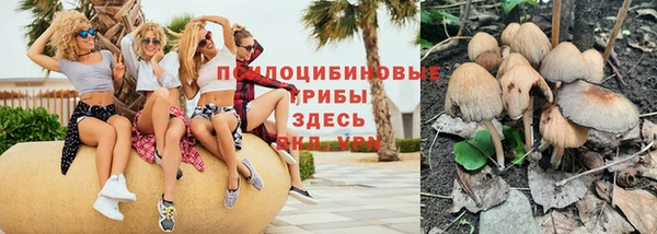 амф Абдулино