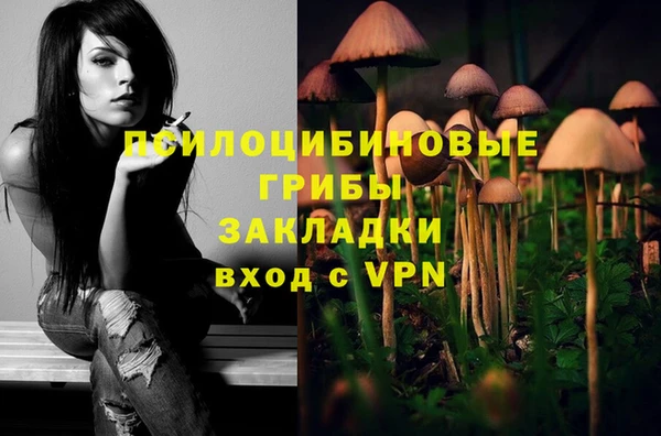 гашик Абинск