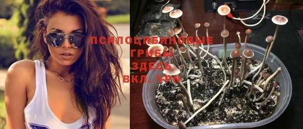 гашик Абинск