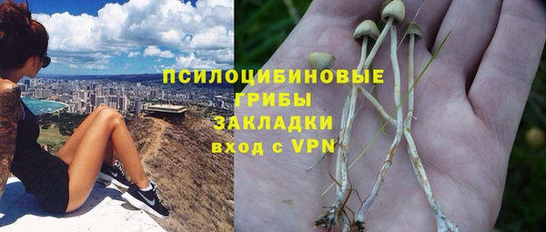гашик Абинск