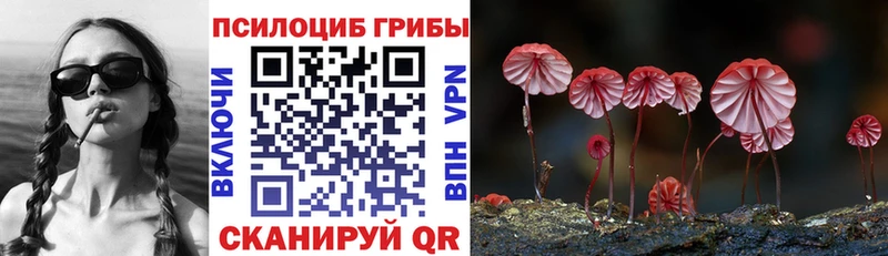 Псилоцибиновые грибы мухоморы  Уржум 